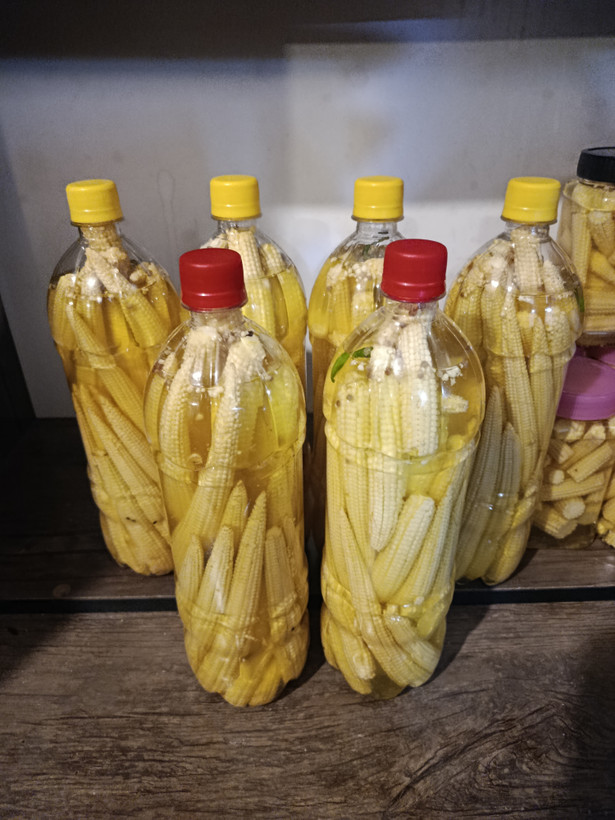ترشی بچه بلال (بیبی کورن) 1400 گرمی بطری